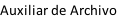 Auxiliar de Archivo